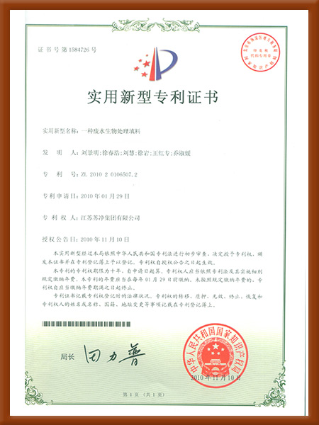 實用新型-一種廢水生物處理<i style='color:red'>填料</i>